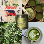 Matcha Bloom